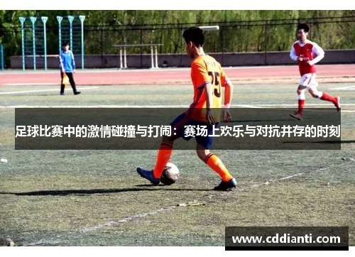 足球比赛中的激情碰撞与打闹：赛场上欢乐与对抗并存的时刻