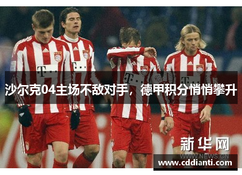 沙尔克04主场不敌对手，德甲积分悄悄攀升