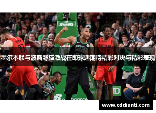 墨尔本联与波斯野猫激战在即球迷期待精彩对决与精彩表现
