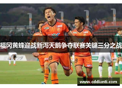 福冈黄蜂迎战新泻天鹅争夺联赛关键三分之战