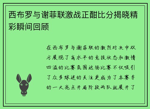 西布罗与谢菲联激战正酣比分揭晓精彩瞬间回顾