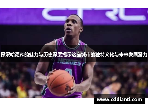 探索哈德森的魅力与历史深度揭示这座城市的独特文化与未来发展潜力