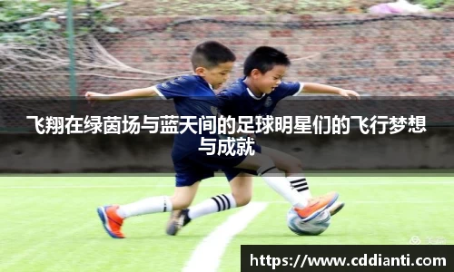 三亿(集团)体育